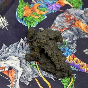 AMSTERDAM SKULL HASH